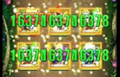 ???mt??????????????????